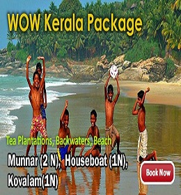 tour packages for kerala